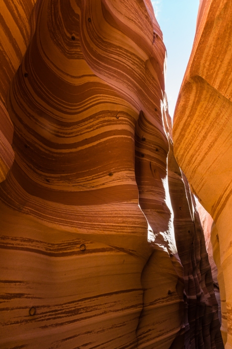 Waves of stone and "shells" of iron in the Zebra Slot Canyon, Utah.