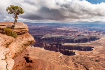 From the Island in the Sky, in Canyonlands National Park, we can have a great viewpoint to the Needles where the Colorado River is shaping its way...
