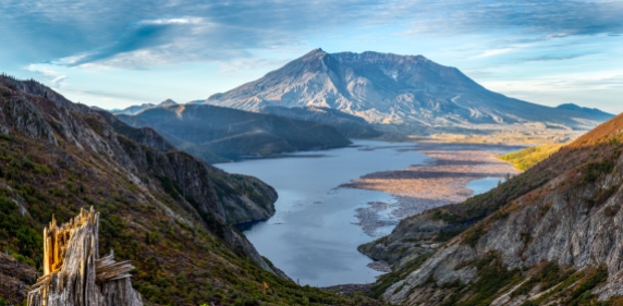 The Mount St Helens erupted in 1980, devastating all life around. The logs of ancient forest blown are on the lake.