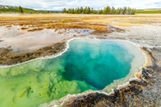 The Yellowstone's Caldeira is full of geological life when the colorful hotsprings show themselves on the surface.