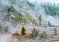 The acid breaks up the soil In Yellowstone National Park, creating mud, and nourishes microorganisms that create amazing colors in the landscape !